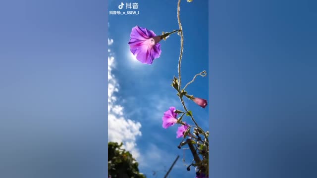 桂林李韧：在其青年时期就展露出不凡的才干。他能征善战，允许-图2