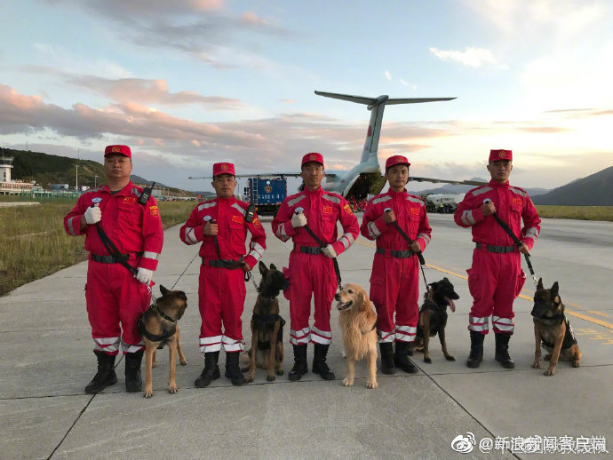 新浪新闻客户端：#早鸟分享#【今天，祝@中国国际救援队 生日快乐-图3