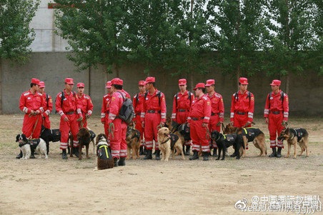 新浪新闻客户端：#早鸟分享#【今天，祝@中国国际救援队 生日快乐-图9