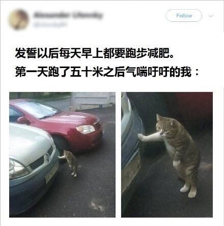 正常人办不出这种事儿：#我太喜欢减肥了#哈哈哈哈哈哈就是这样没错了！网-图8