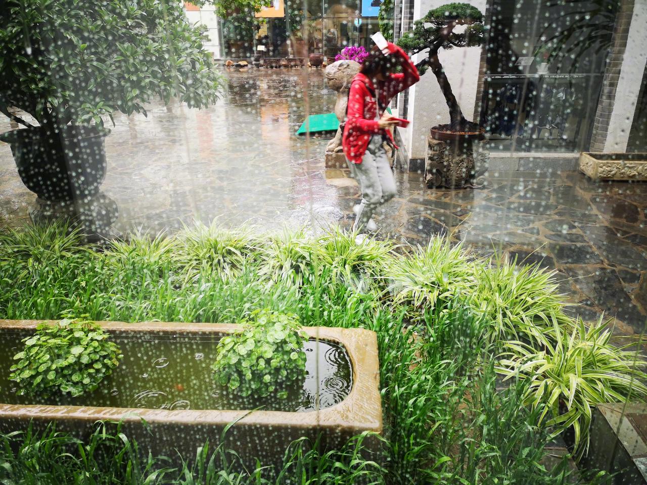 马未都：雨天的博物馆总是来人少，今日周六，本来人会很多，-图4