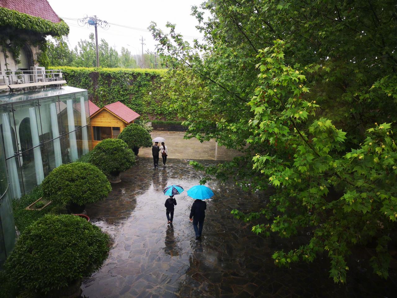 马未都：雨天的博物馆总是来人少，今日周六，本来人会很多，-图6