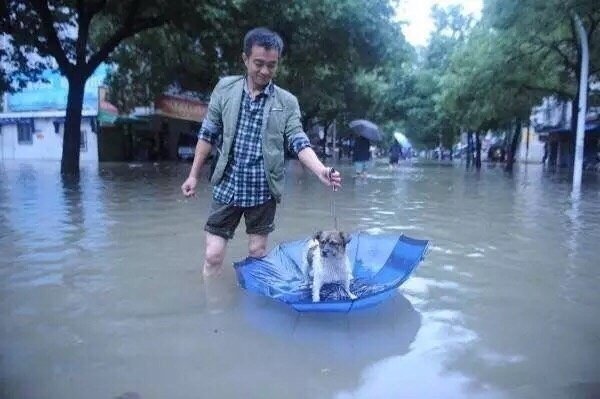 思想聚焦：愿每个生命都能被这个世间温柔以待。网友回复一-图7