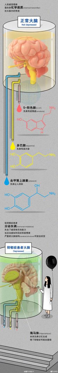 寄鹿：#杀害滴滴司机大学生被诊断患抑郁症#我不是不开心-图3