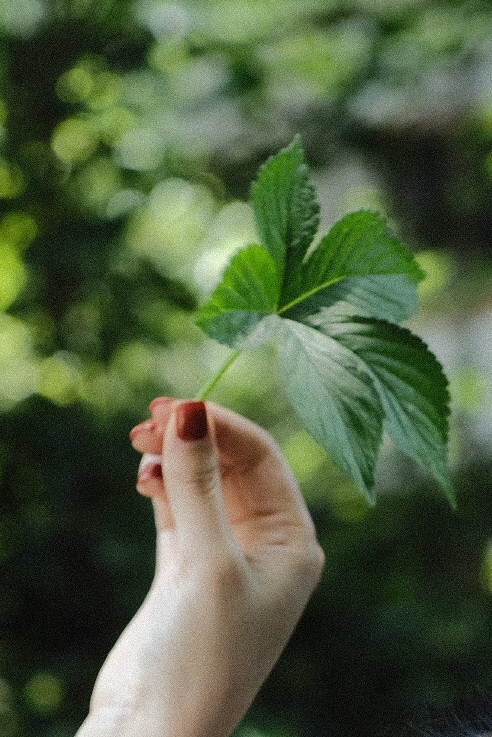 南笙：你看，爷爷关注的博主终于更新了。 网友回复南-图4