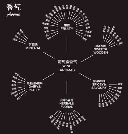 九张图为你完全解析葡萄酒的知识~~~#中国人买法国酒-美食君-图3