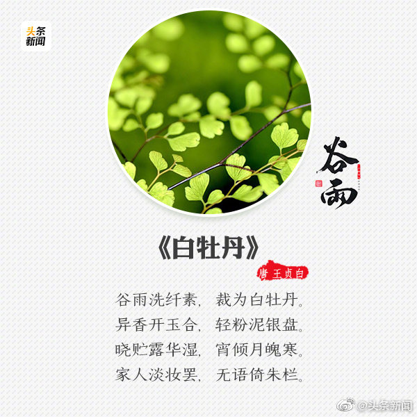 头条新闻：【今日#谷雨#，一起来和春天告个别！网友回复-图3