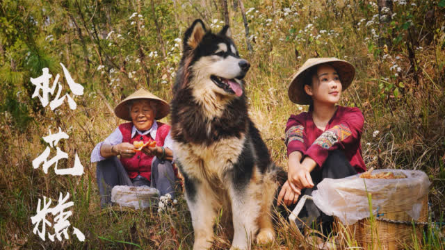 松花糕—古镇街头那个软绵香甜的小方块糕点松花的花期很-滇西小哥-图3