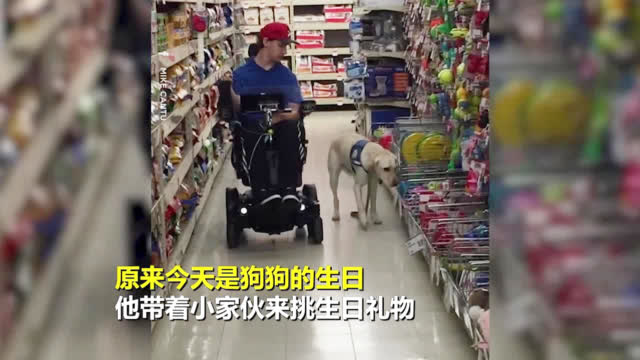 这里是美国：国外一位残疾小哥正带着他的服务犬逛超市，原来这天-图3