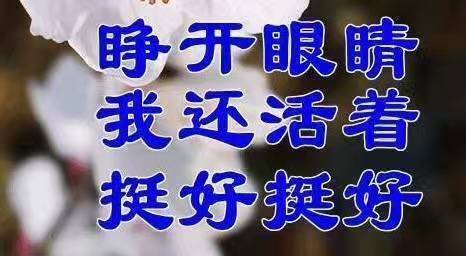 思想聚焦：一组能量满满的表情包，为丧丧的自己打打气！网友热-图9