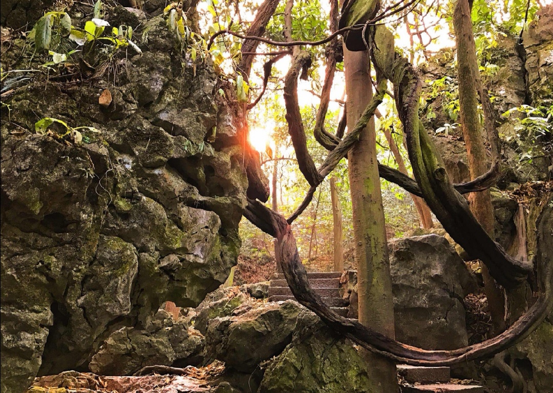 中国书画诗词院：清晨入古寺，初日照高林曲径通幽处，禅房花木深山光-图2