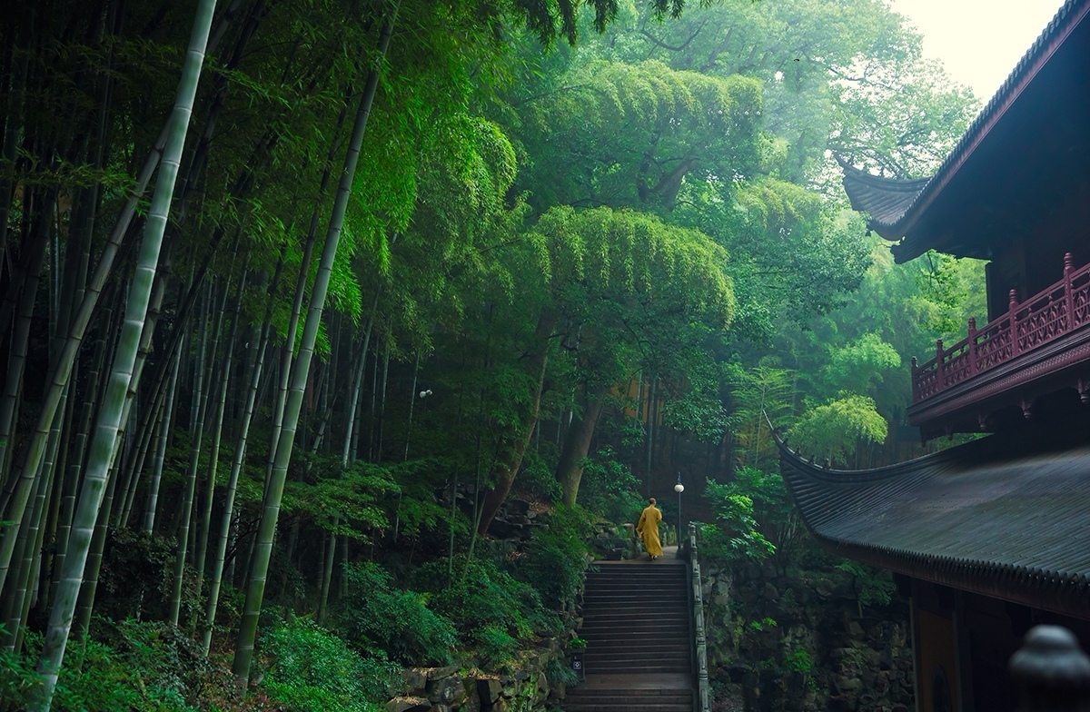 中国书画诗词院：清晨入古寺，初日照高林曲径通幽处，禅房花木深山光-图3