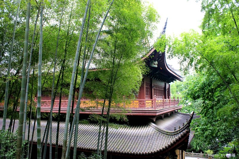 中国书画诗词院：清晨入古寺，初日照高林曲径通幽处，禅房花木深山光-图4