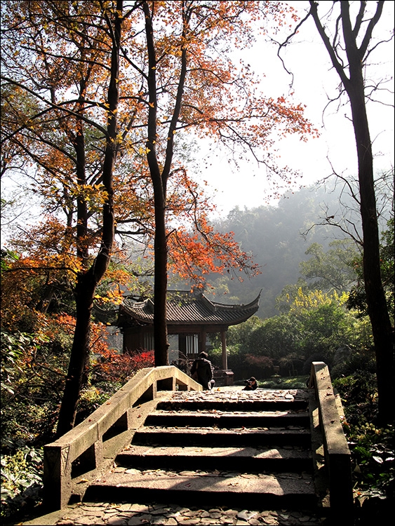 中国书画诗词院：清晨入古寺，初日照高林曲径通幽处，禅房花木深山光-图7