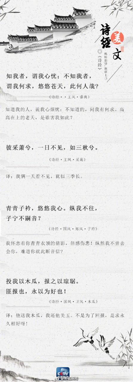 央视新闻：【转存32段《诗经》名句 句句生香网友回复看-图2