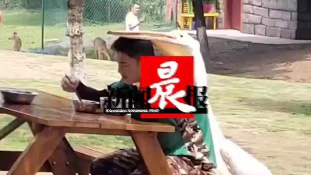 央视新闻：【来看这顶正宗鸭舌帽】近日，重庆一景区内，饲养员-图4