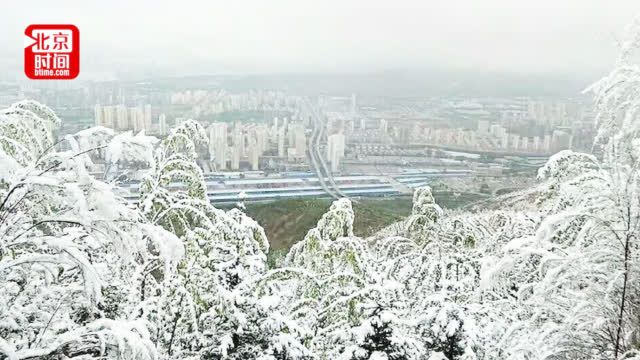 头条新闻：【入夏了还在下雪，#甘肃下雪一夜回冬#：再坚持5-图3