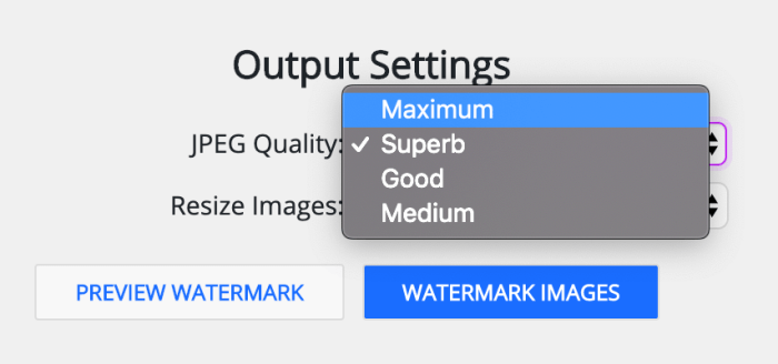 watermarkly