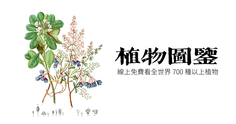 植物图库