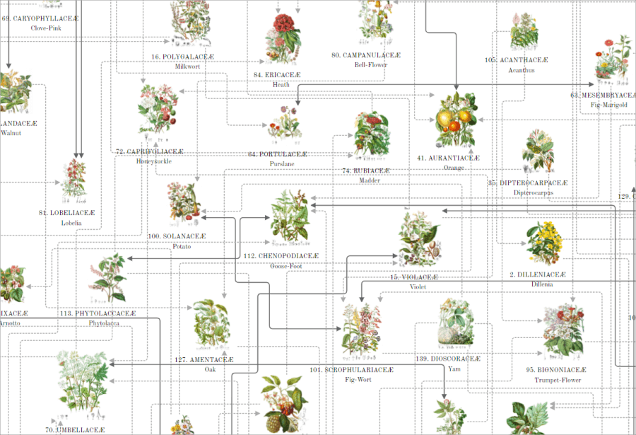 植物素材